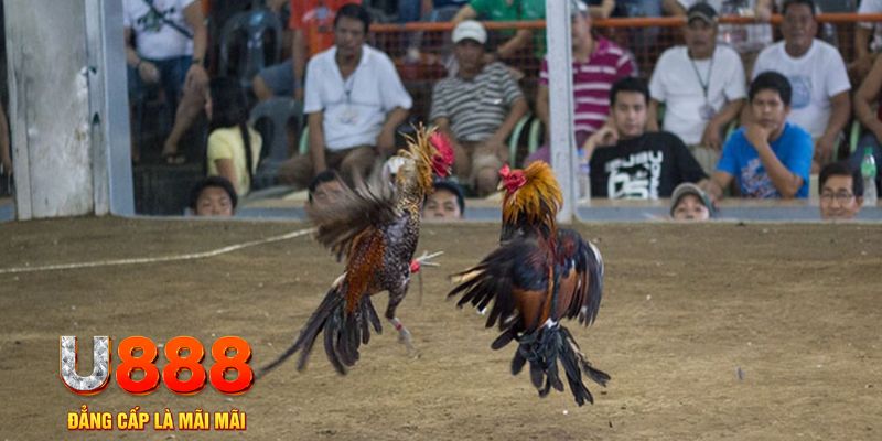 33win9 đăng nhập mậu binh khuyến mãi