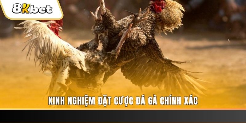 33win9 xổ số thứ bảy hàng tuần