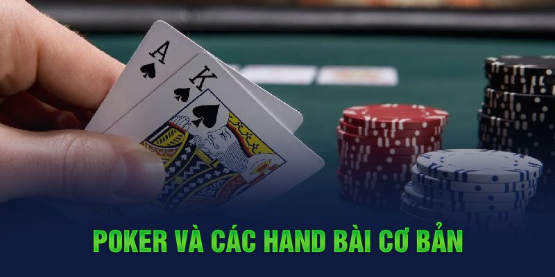 33win9 đá gà cựa dao