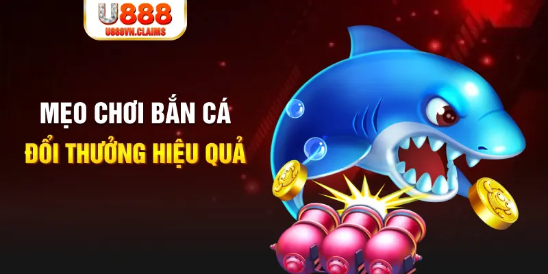 33win9 gà chọi cam ranh