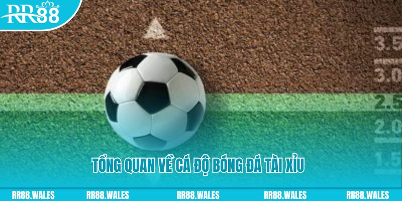 33win9 đăng nhập roulette online