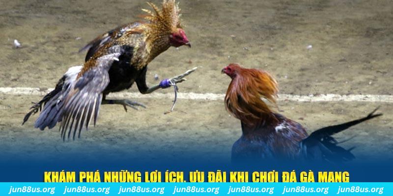 33win9 đăng nhập liêng live