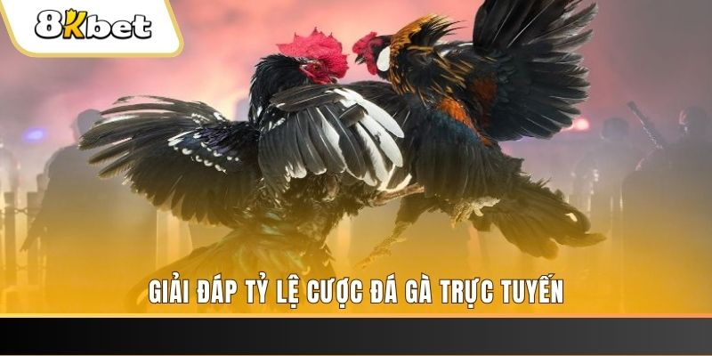 33win9 ban ca online