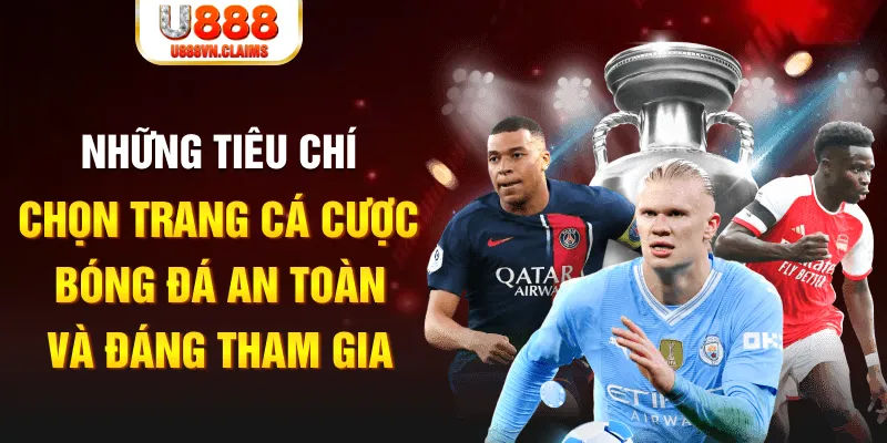 33win9 cá cược thể thao là gì